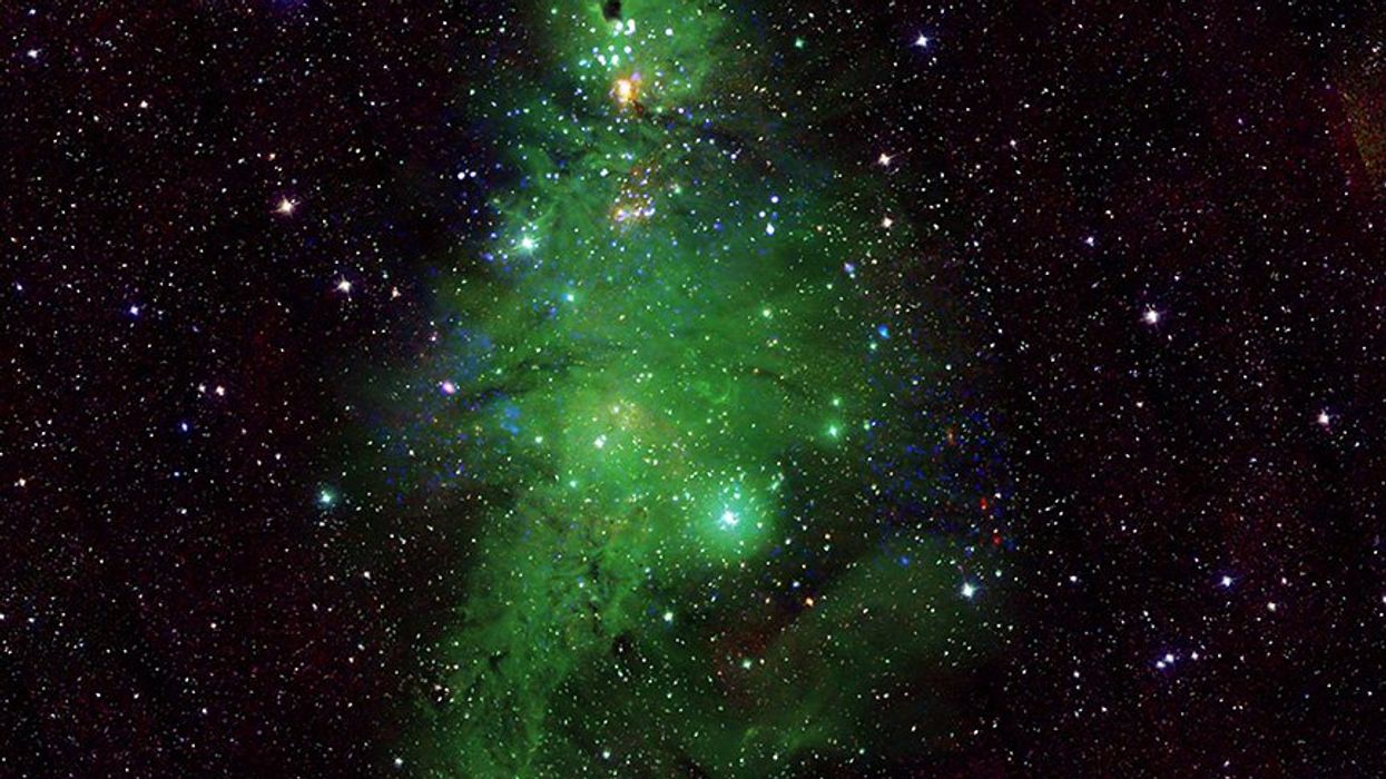NASA shares photo of star cluster that looks like Christmas Tree