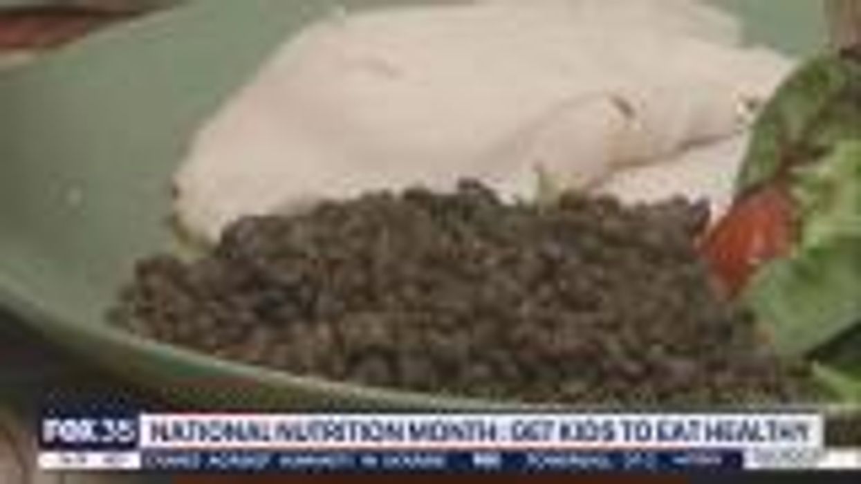 World hunger could soon be solved - by eating worms