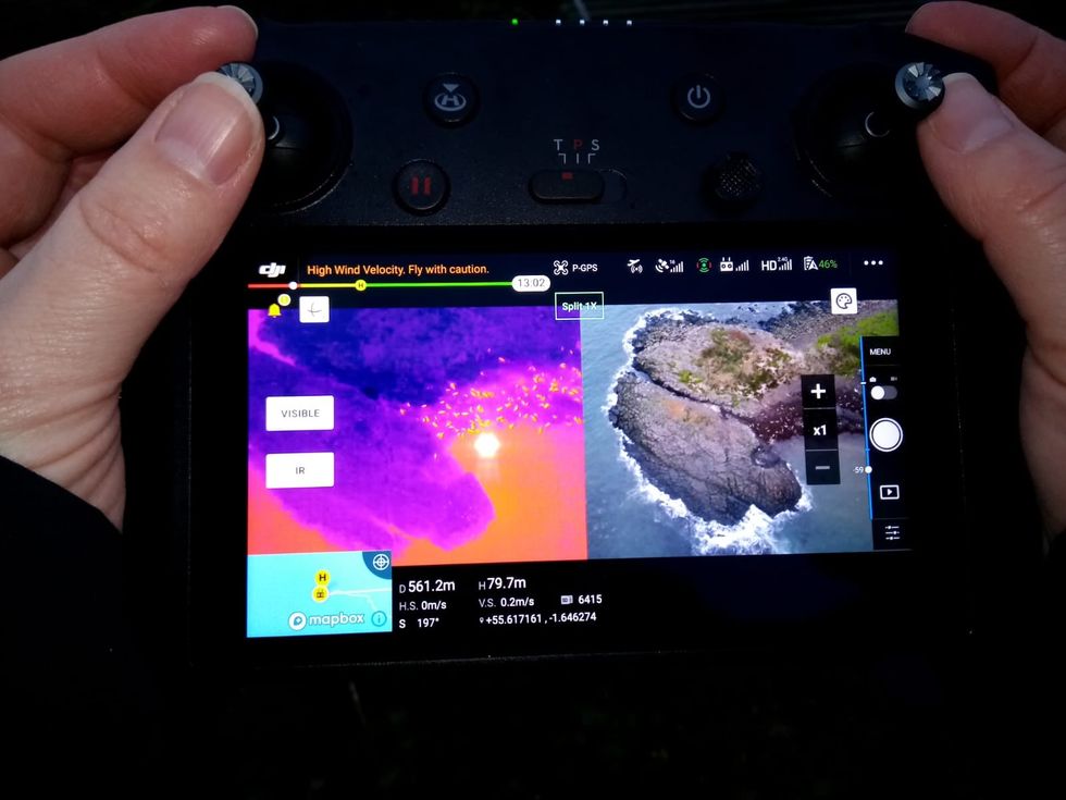 National Trust rangers have used drones in recent years to do the count on outlying islands (TerraDrone/PA)