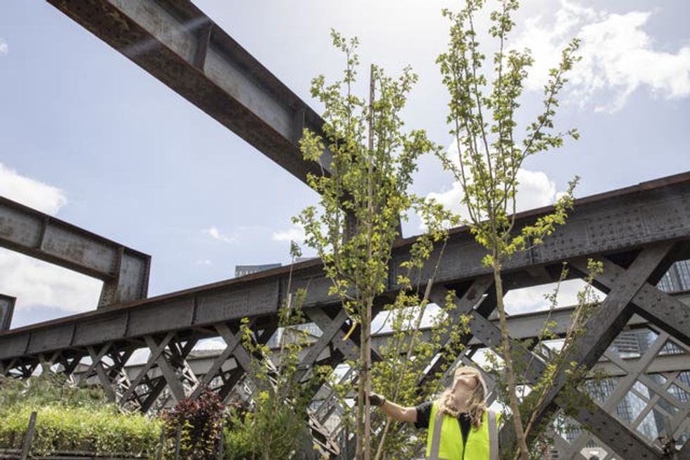 National Trust\u2019s urban project at Manchester Viaduct