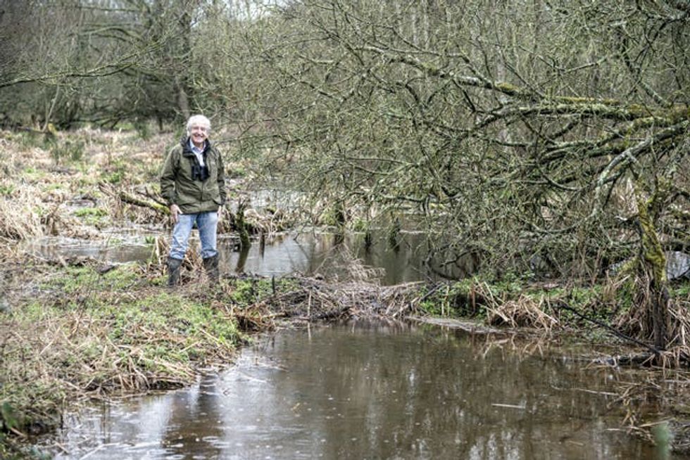 Natural England chairman Tony Juniper next to a dam at the beaver wetlands area near Cullompton, Devon