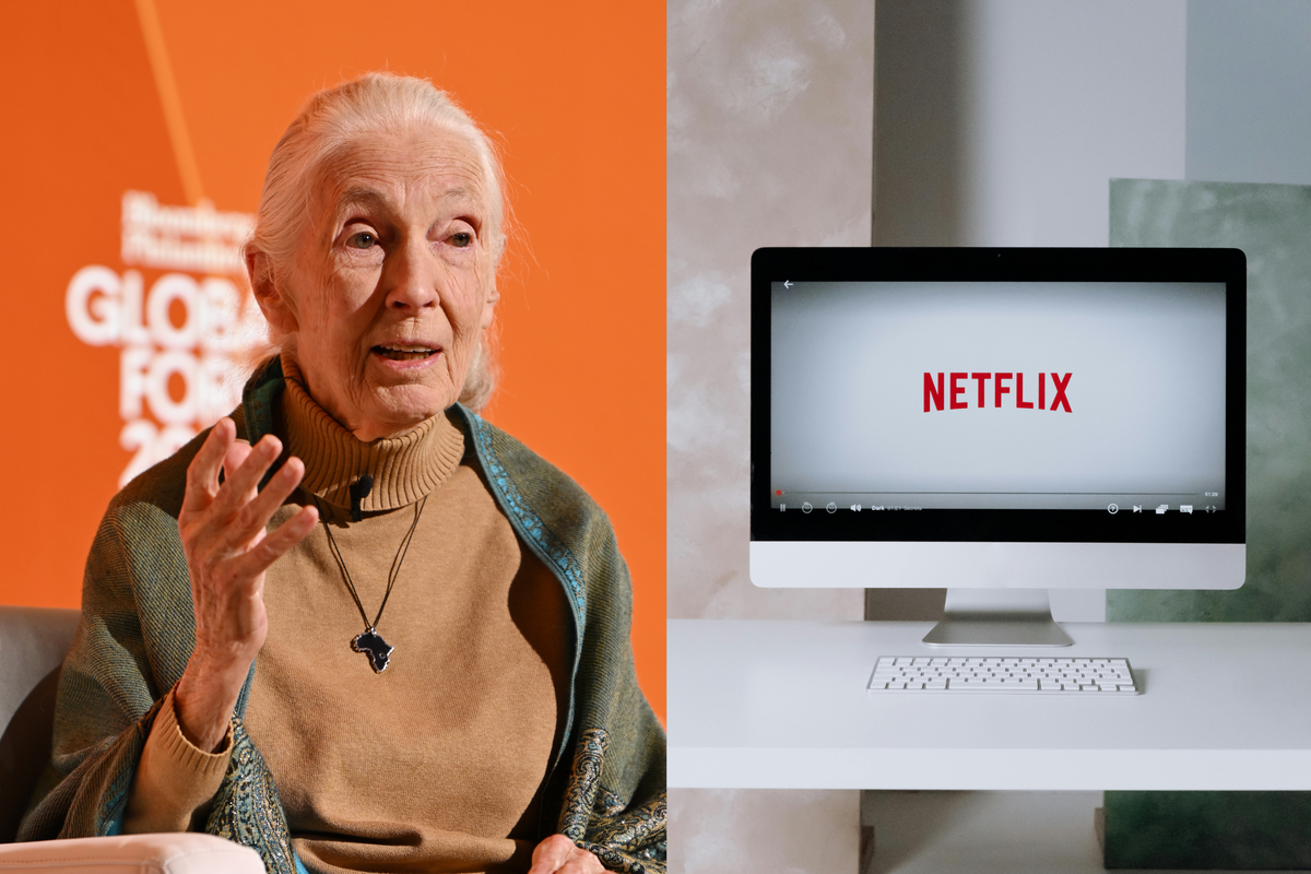 Netflix divides viewers with ‘creepy’ post-death celebrity interview series Famous Last Words