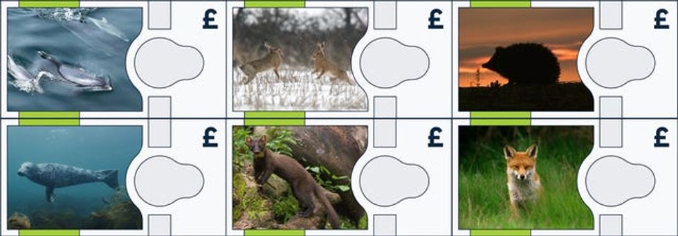 New banknote design