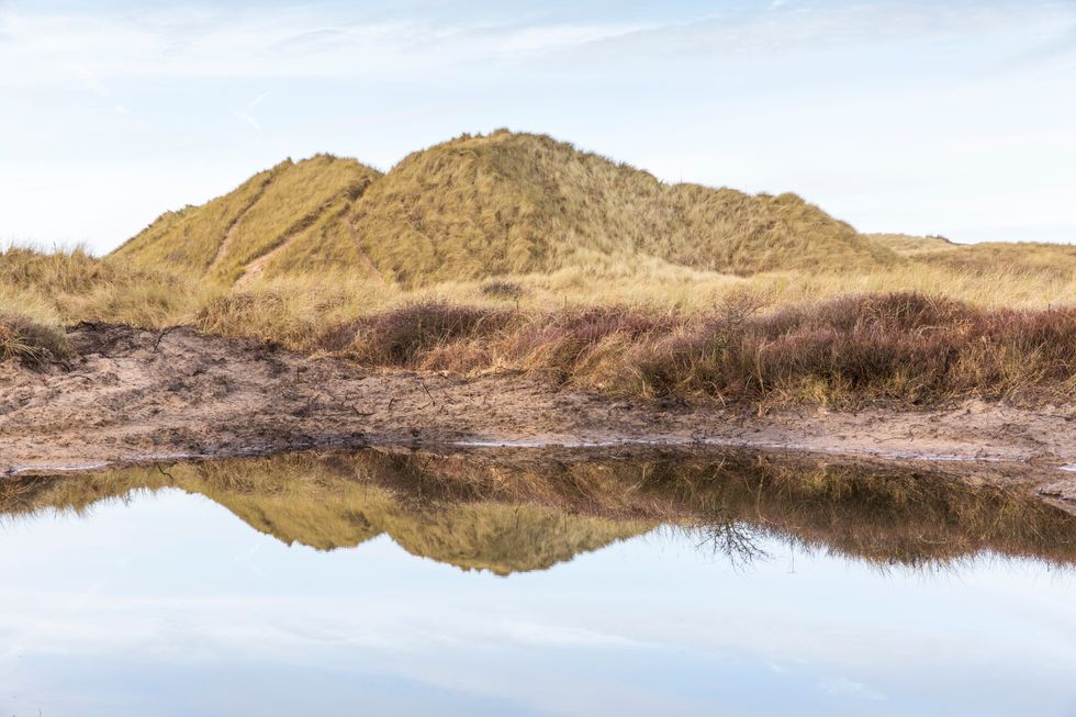 New breeding pool created as part of efforts to help natterjack toads