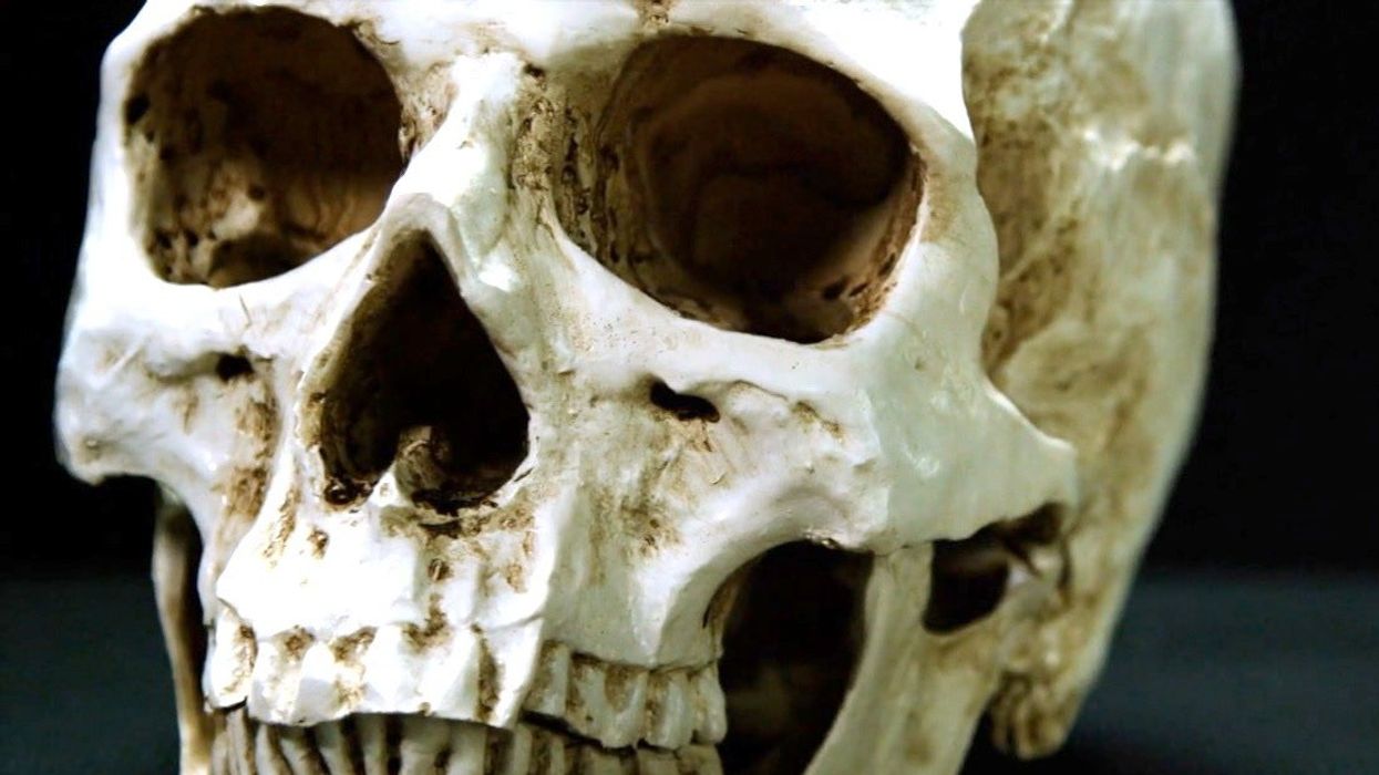 New discovery changes everything we know about where humans first came from