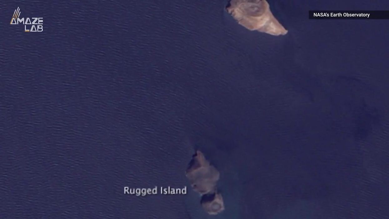 'Death pool' discovered at the bottom of the sea that kills everything 'immediately'