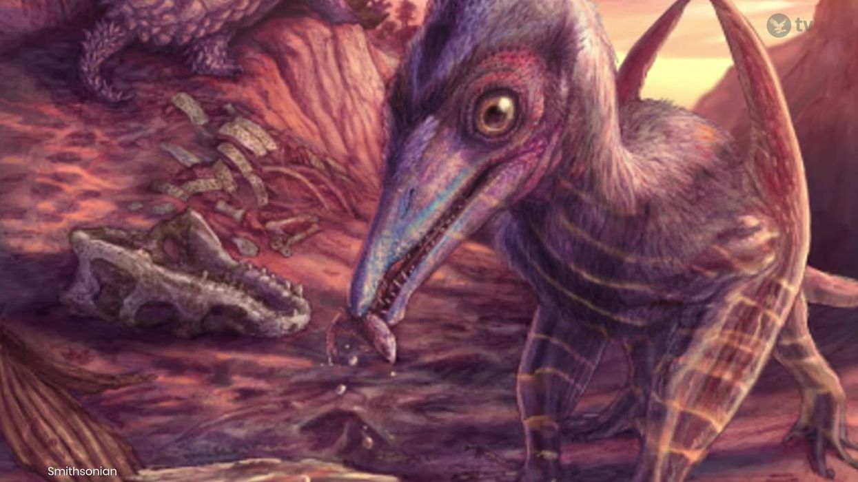 Scientists just discovered an unknown species hidden in the world's longest cave