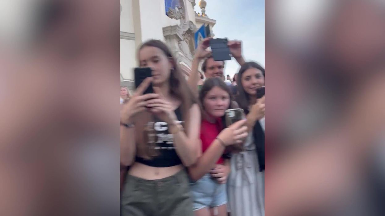 Nick Kroll shows reality of the Don't Worry Darling premiere as a supporting actor