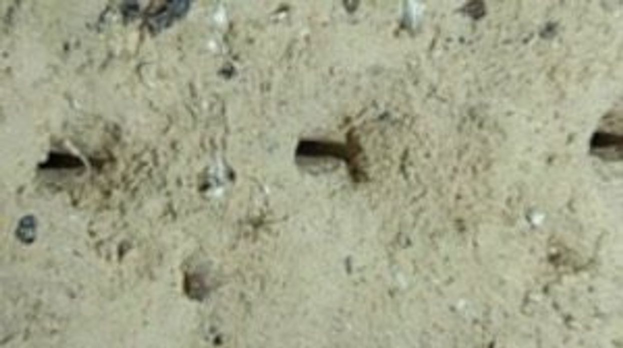 Scientists solve mystery of strange pits at the bottom of the ocean