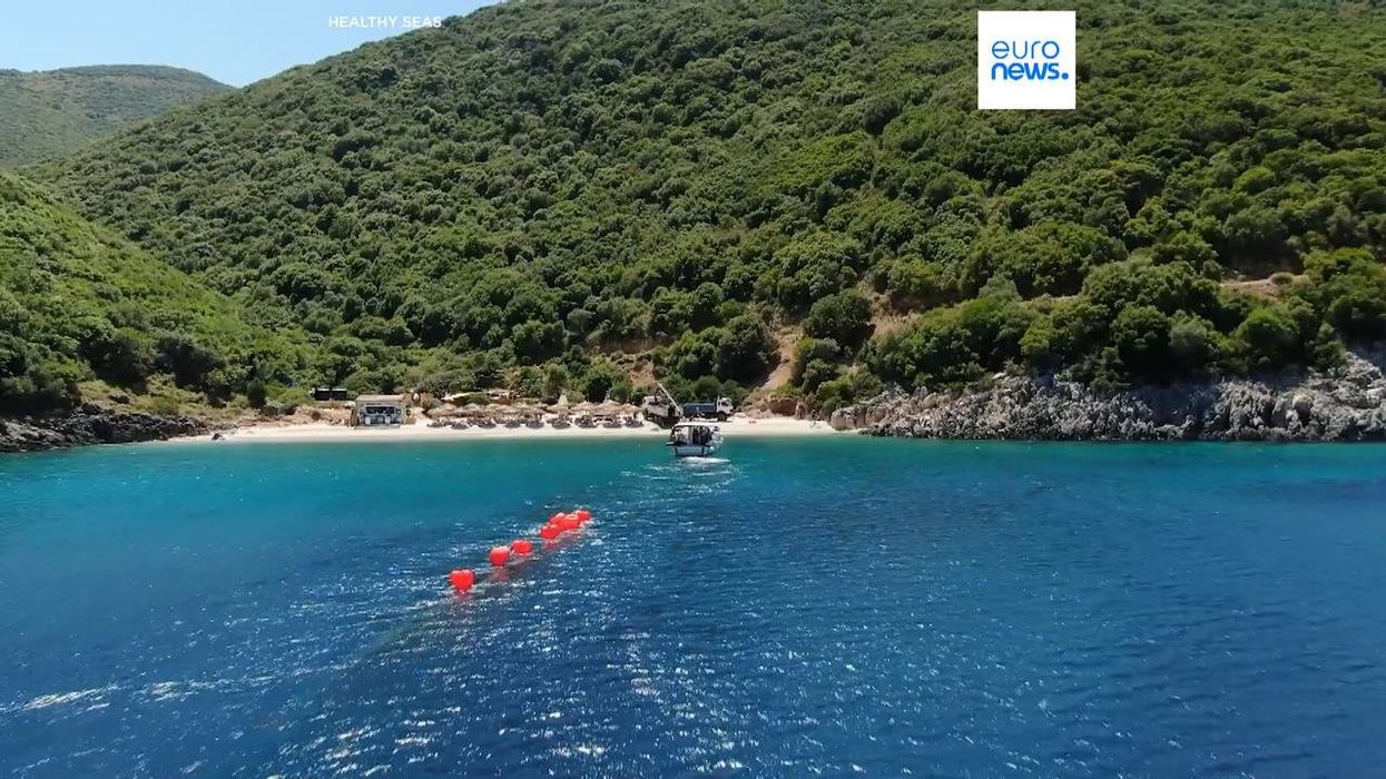 Our beloved blue oceans are turning ominously green