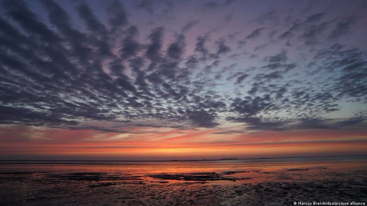 What is Rishi Sunak's North Sea drilling plan and why is it controversial?