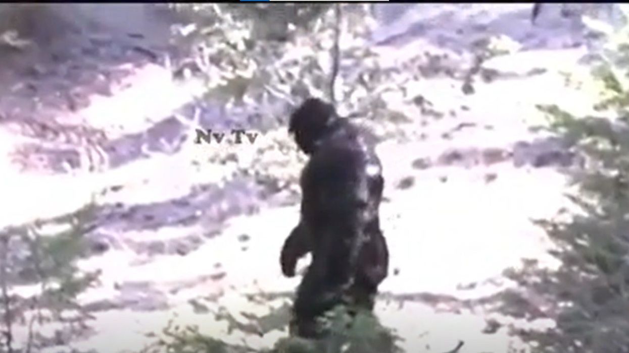 Dramatic footage claims to show new sighting of Bigfoot – so do the experts think it’s real?