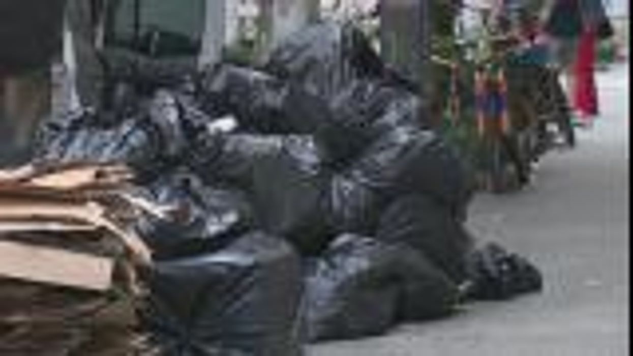 New York City wants to find a 'badass' who'll earn $170,000-a-year to kill rats