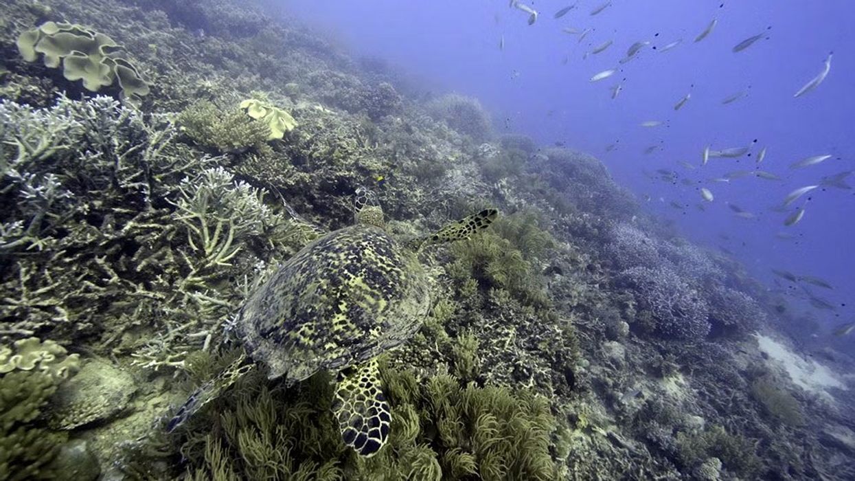 Scientists discover heatwaves at the bottom of the ocean that could have huge impact