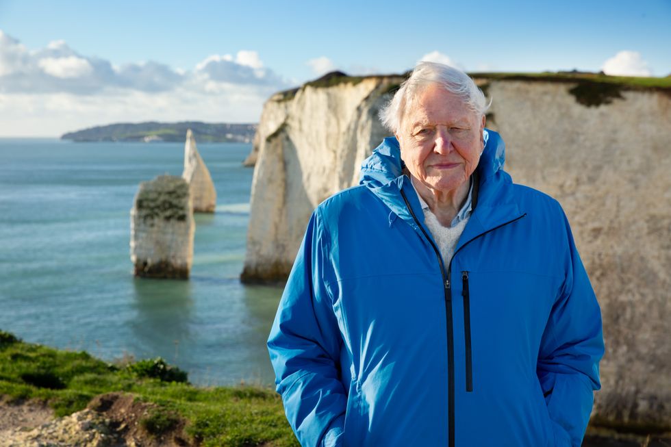 Sir David Attenborough reflects on almost being 99 in new documentary trailer