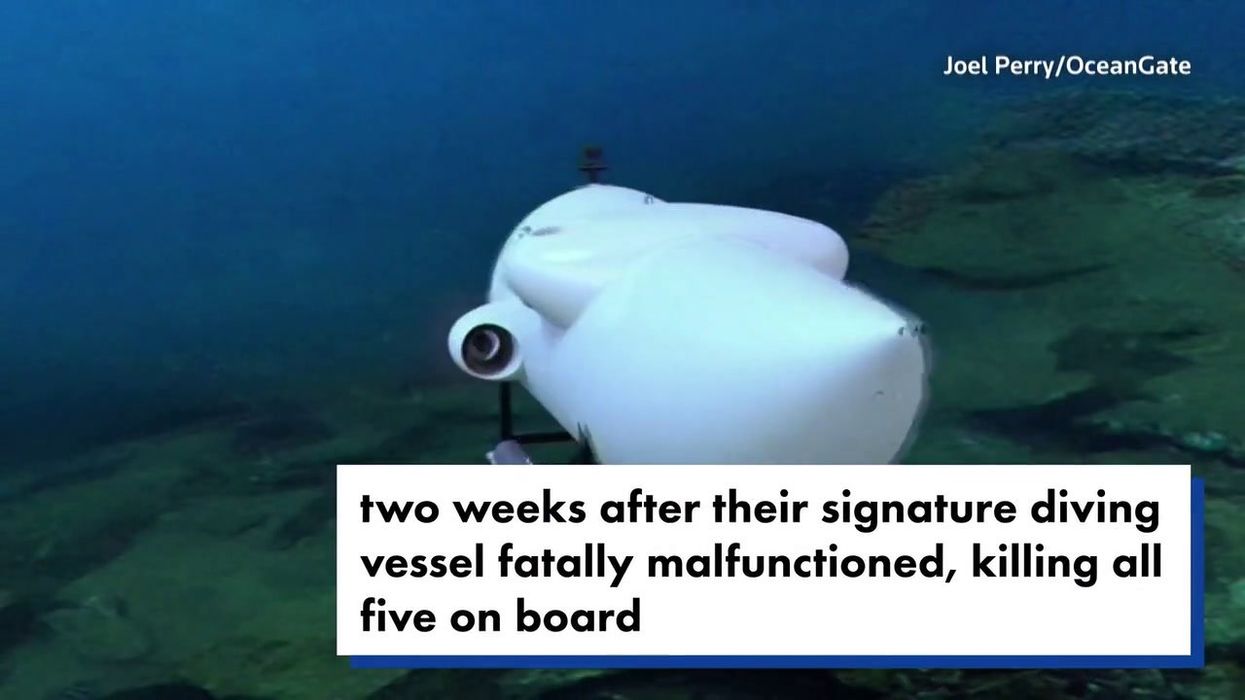 Expert claims Titan sub victims realised their fate 48 seconds before implosion