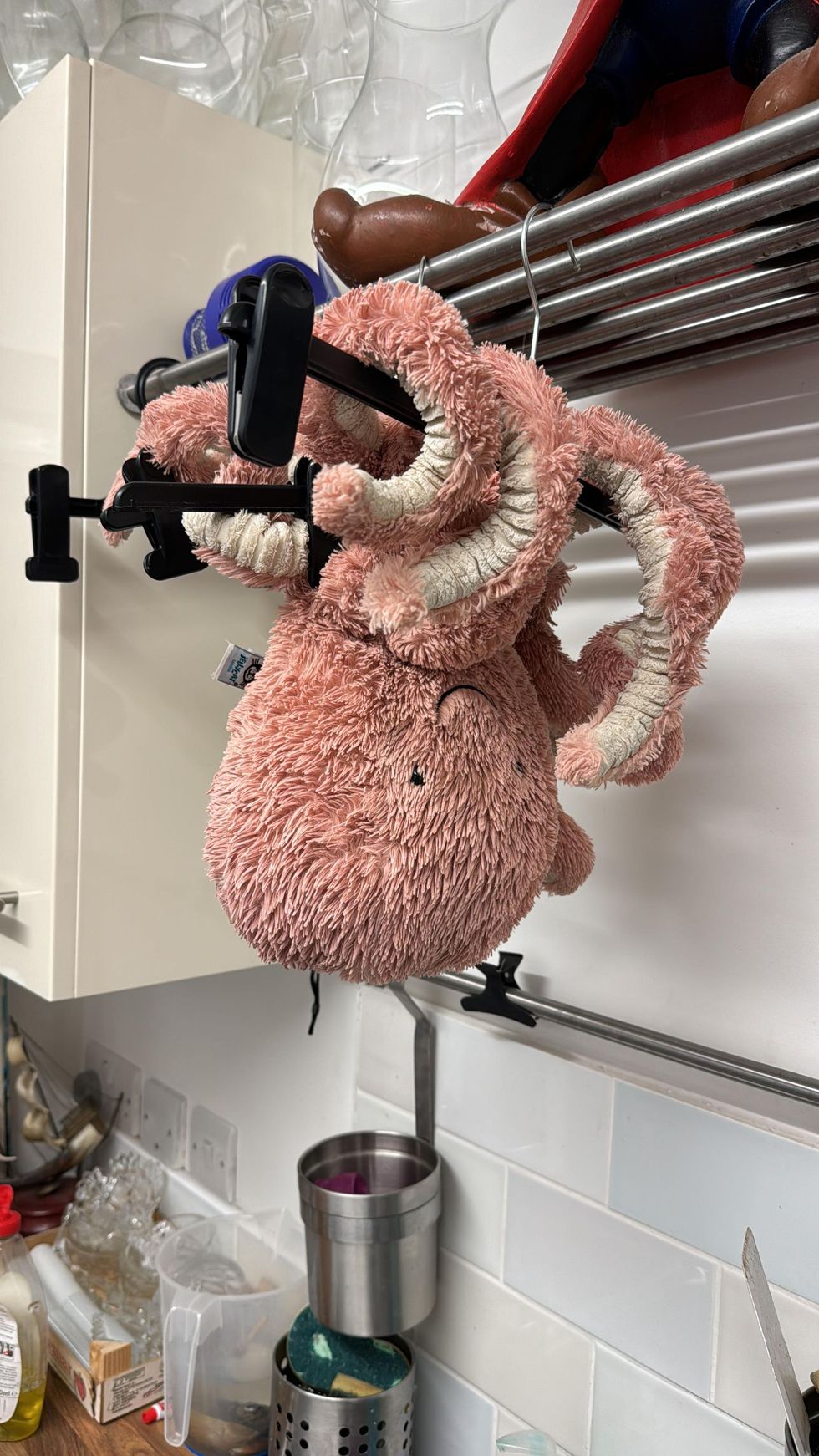 Octopus hanging ang drying