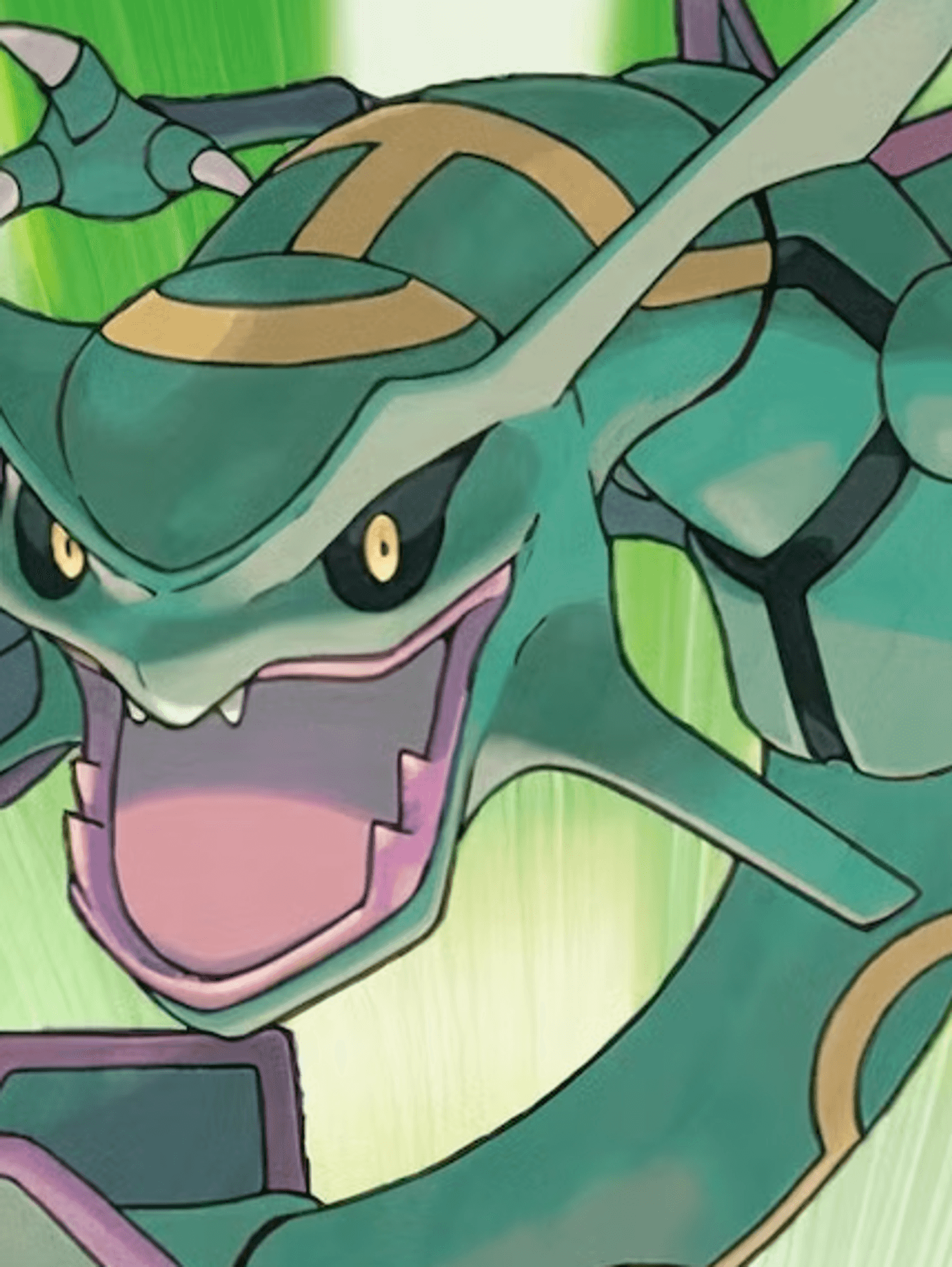 Official artwork from Pokemon Emerald