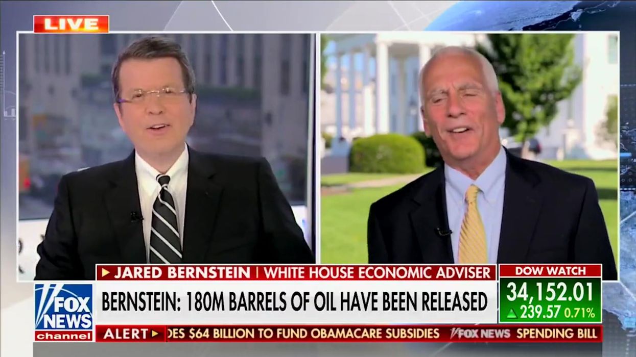 'Oh s***': Fox News interview cut short by angry wasp