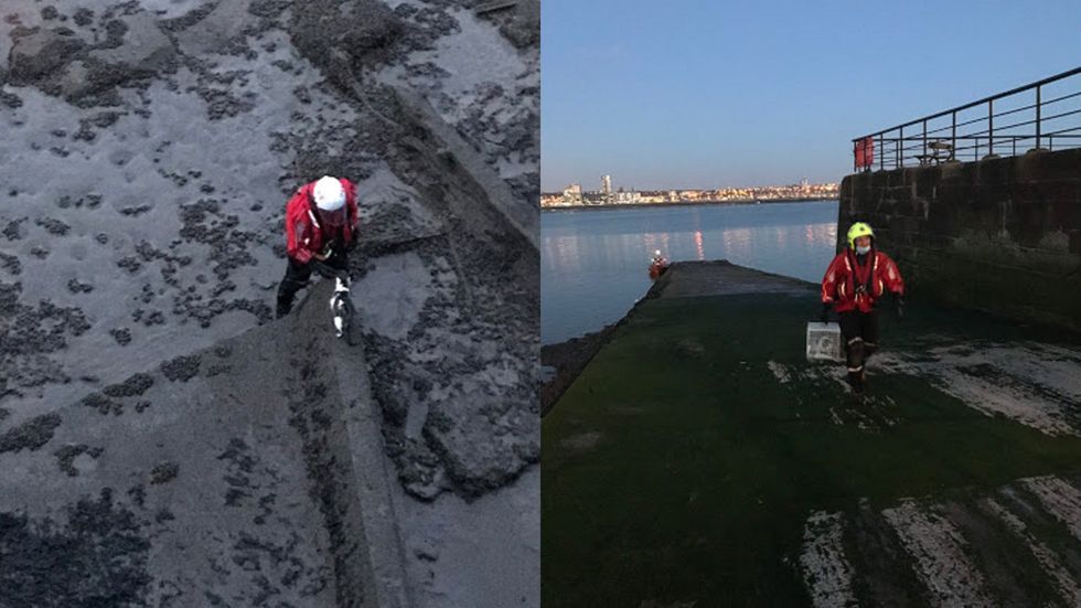 Ollie the cat is rescued from the River Mersey by a person in a red top as the sun sets and night draws in