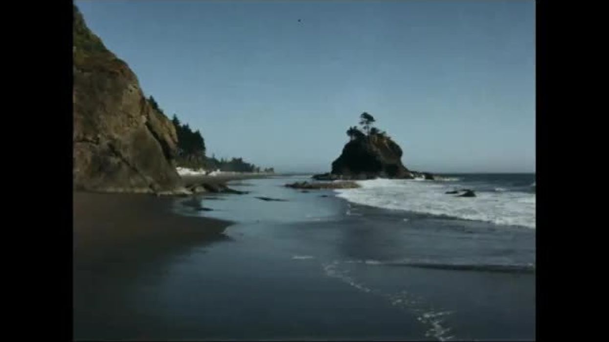 'Puppy mountain' photo becomes popular tourist destination in China