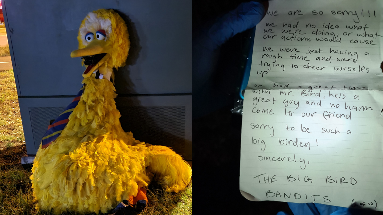 On the left, a giant yellow Big Bird costume. On the right, a letter of apology from the thieves.