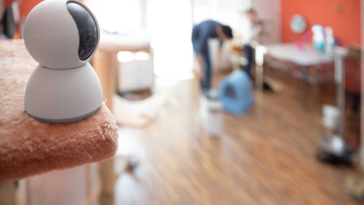 One babysitter raises privacy concerns over home cameras