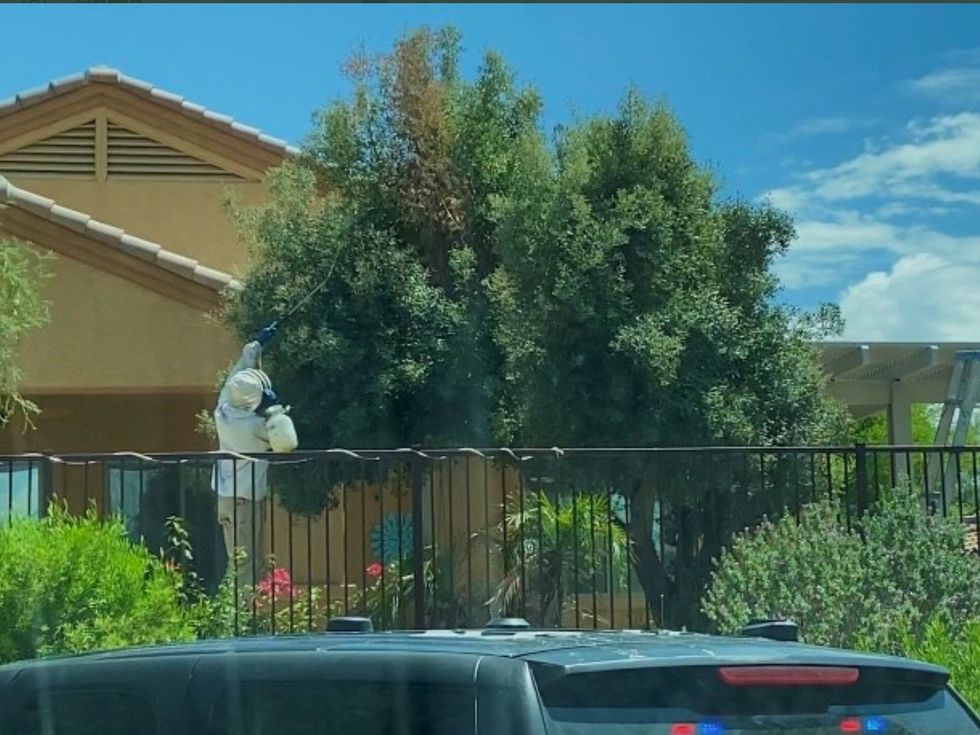 One man was stung to death by the bees, while a further two were rushed to hospital