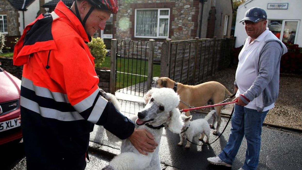 One of the less violent dog pictures we could find