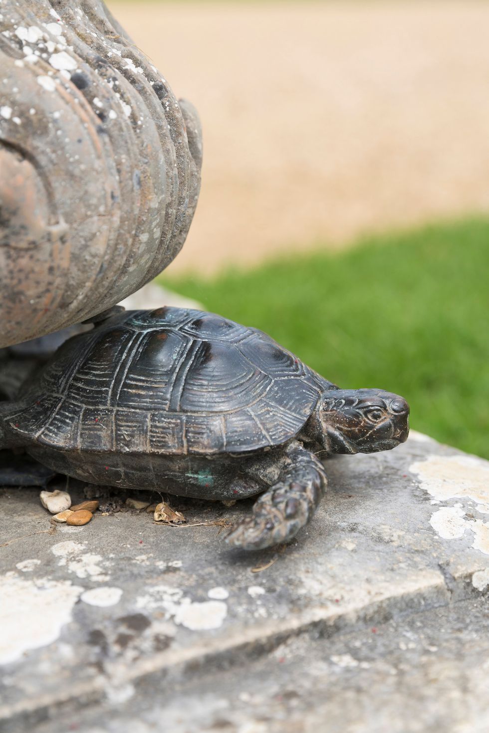 One of the replica tortoises commissioned after the 1992 theft, credit NT Images-James Dobson