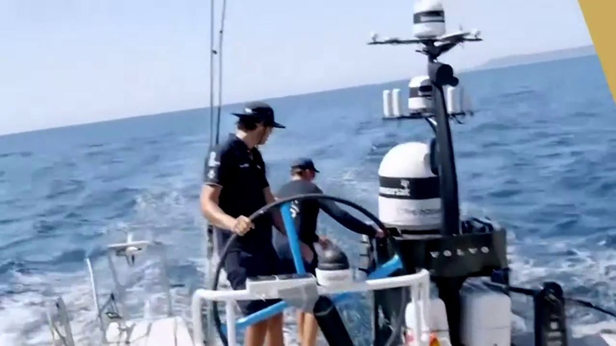 Portugal bans tourists from approaching killer whales after series of attacks