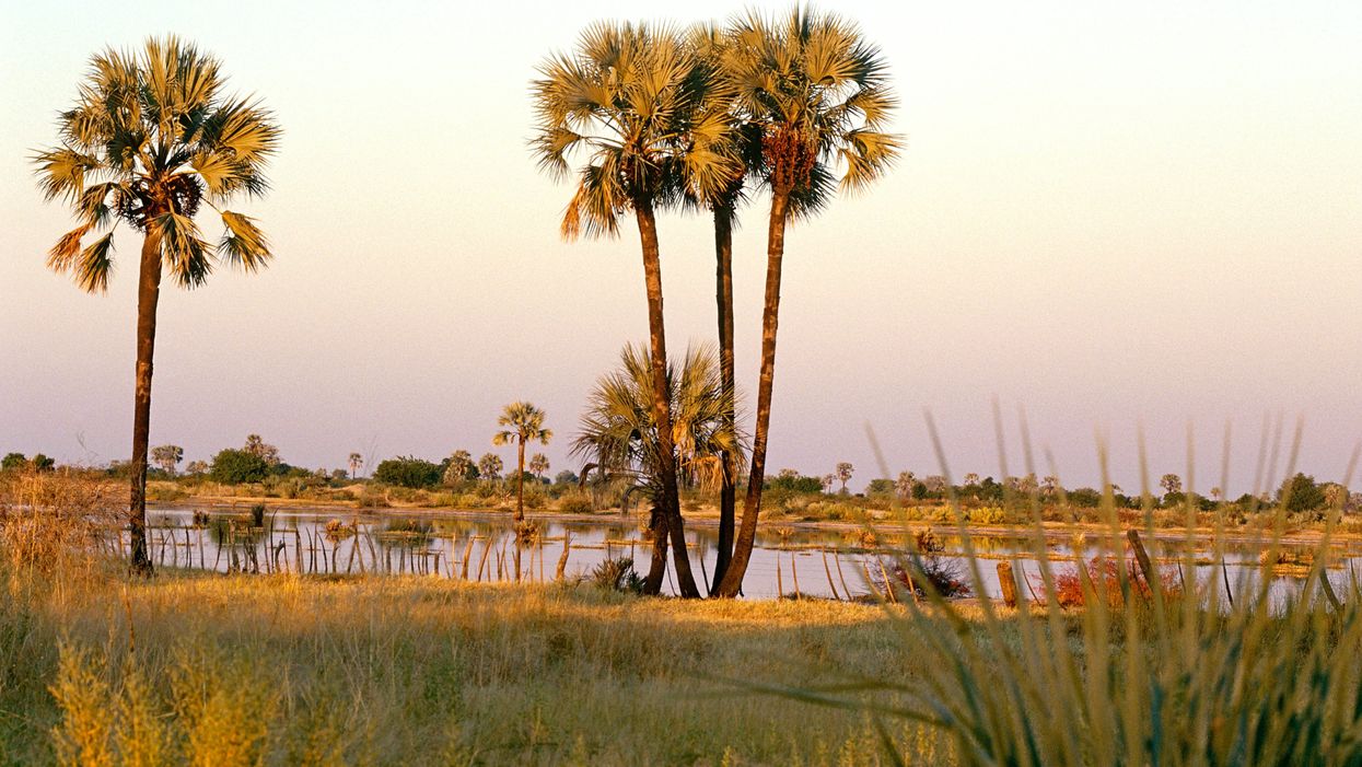 <p>Oshana, Namibia </p>