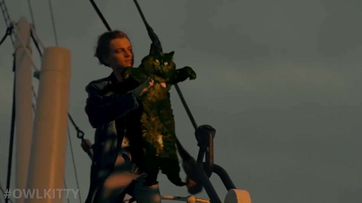 Kate Winslet replaced by cat as Rose in 'Titanic' parody video