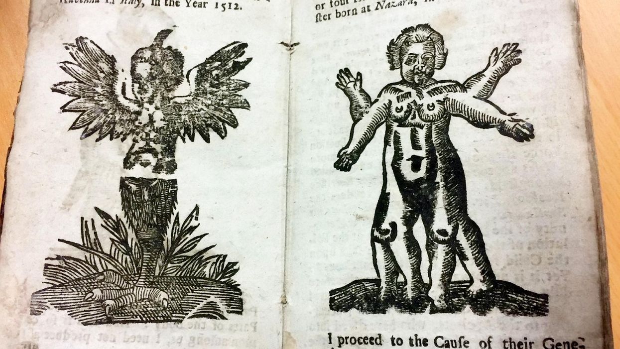 Pages from the sex manual from 1720