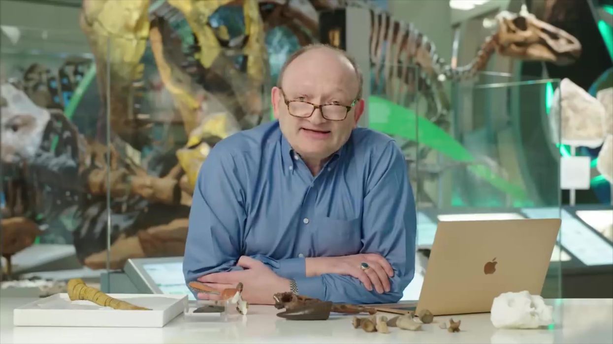 Palaeontologist reveals what Jurassic Park got wrong about dinosaurs