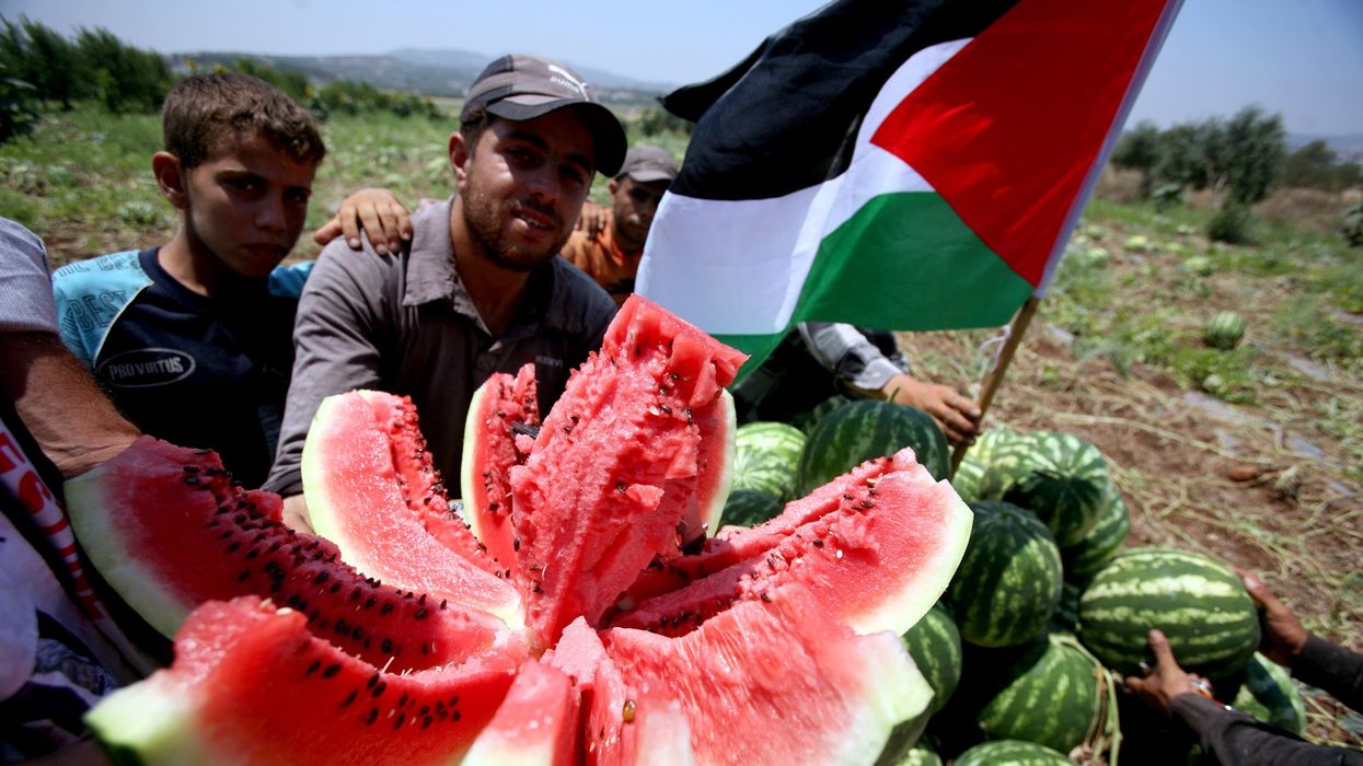 Why the watermelon has become a symbol of Palestine protests
