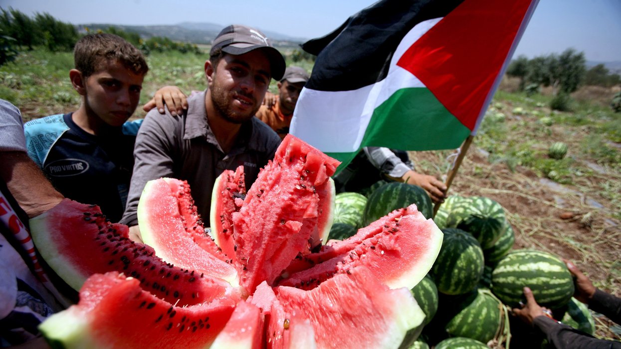 Why The Watermelon Has Become A Symbol Of Palestine Protests Indy100 Why the watermelon has become a symbol of palestine protests indy100