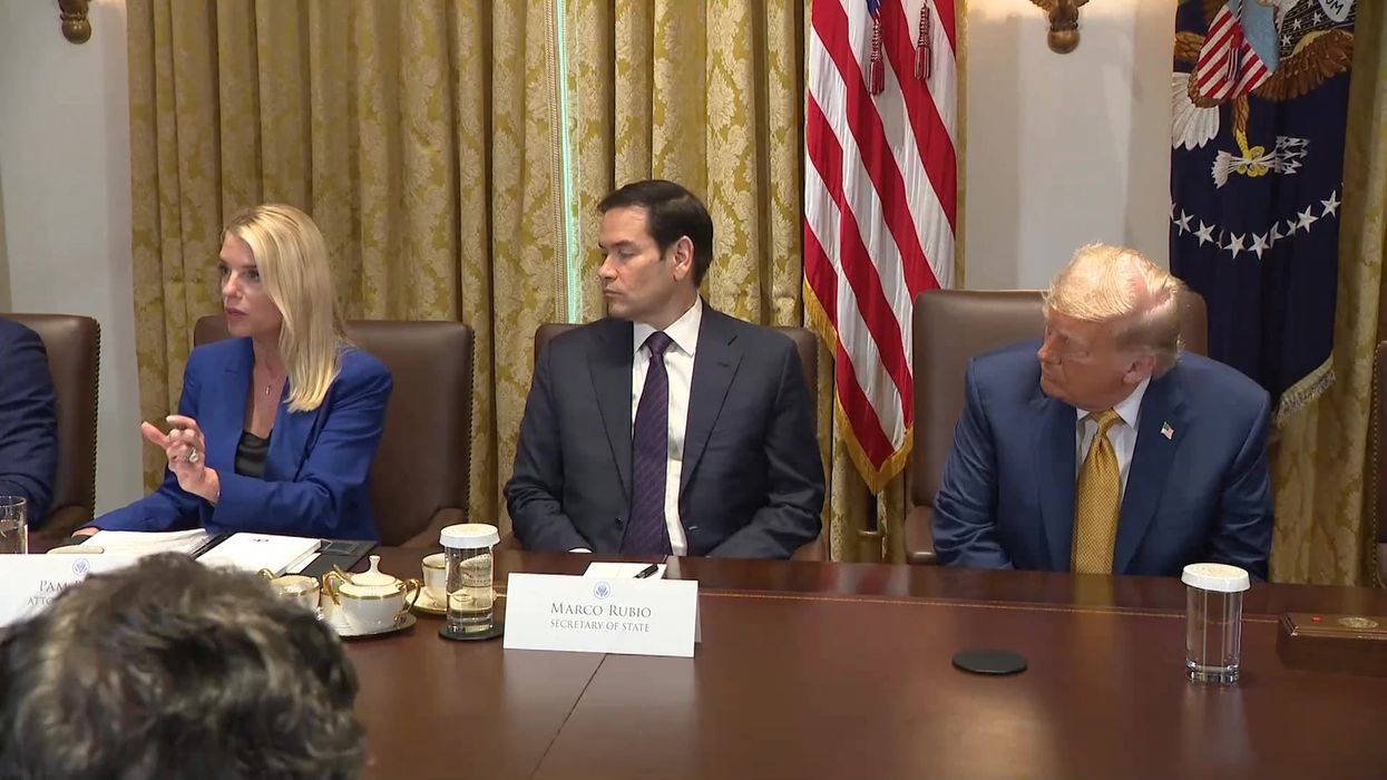 Bondi vs Bongino: MAGA supporters split over who should resign amid Epstein files fallout