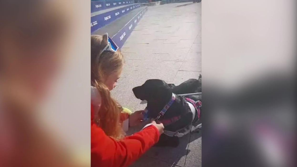Assistance dog at the Paralympics wins its own medal