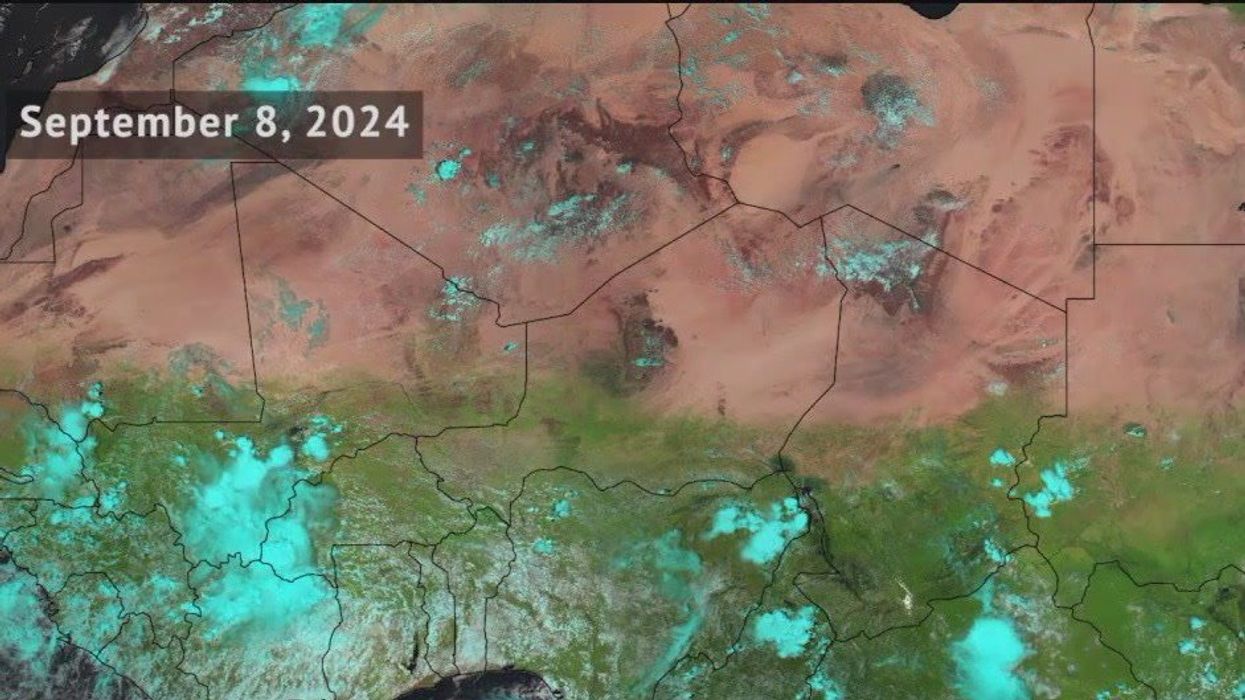 Rare intense rainfall transforms Sahara desert