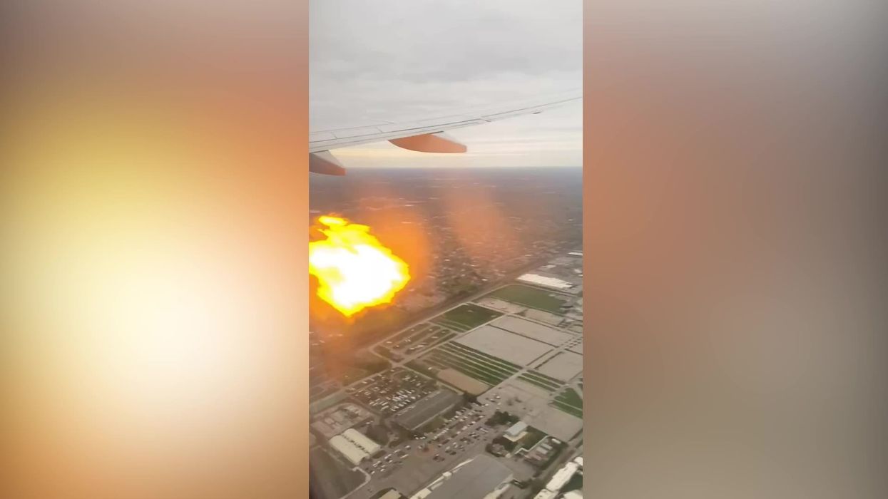 Plane engine bursts into flames mid-air thanks to a 'flock of geese'