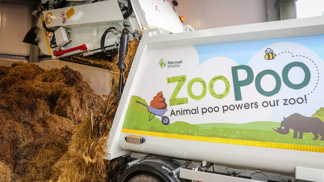(Paul Collins/Marwell Zoo/PA)