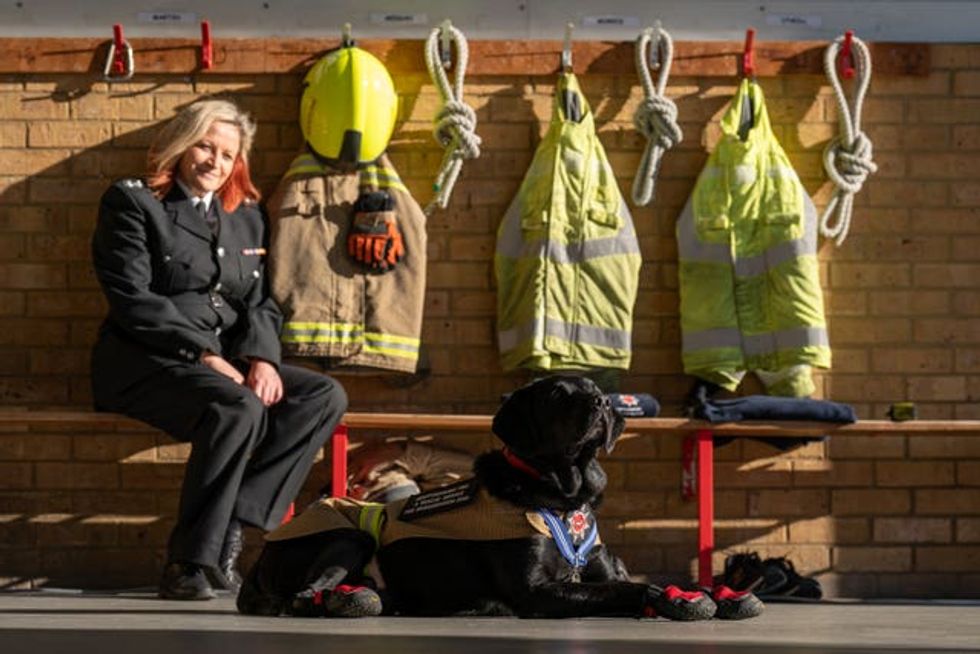 PDSA Order of Merit medal