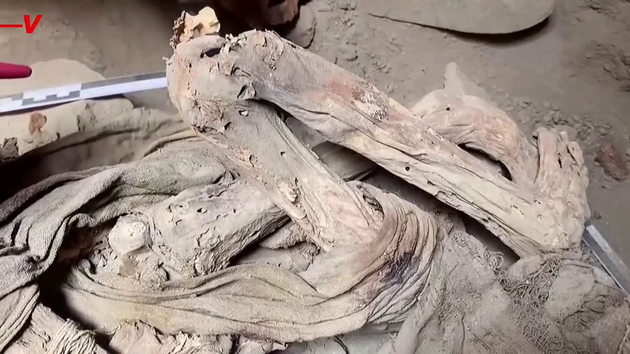 Man found completely mummified just 16 days after he was last seen alive