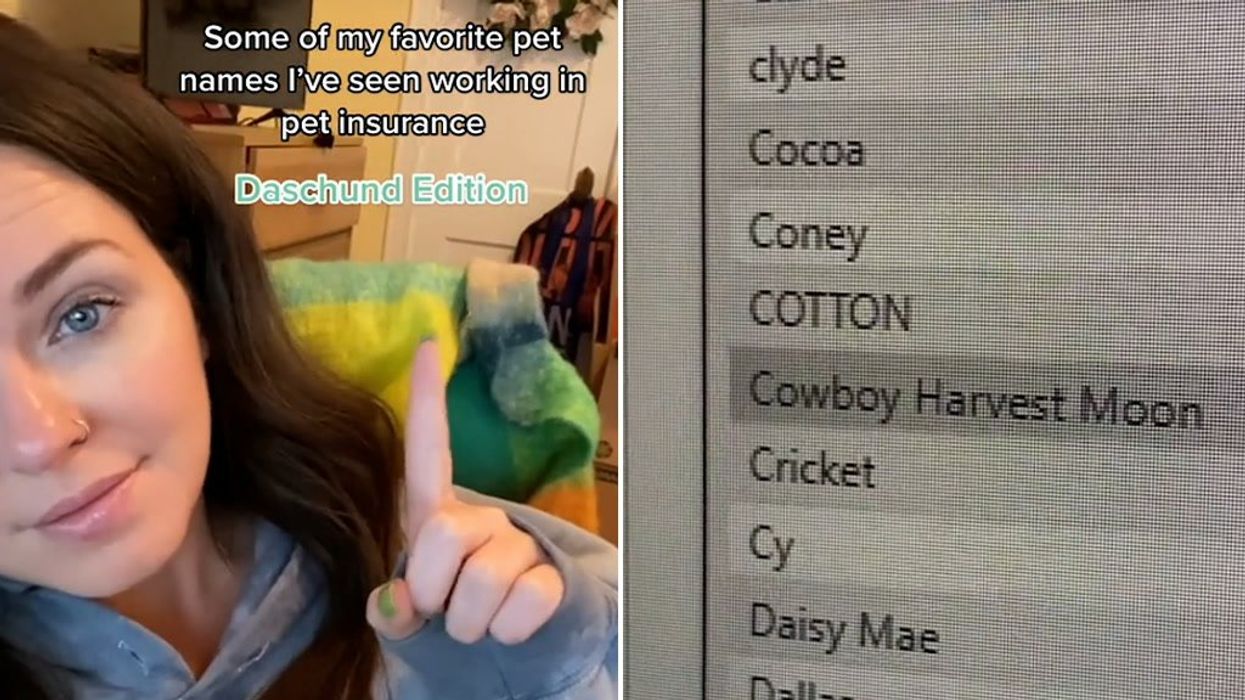 Pet insurance company shares the most hilarious names people have registered for their Dachshunds
