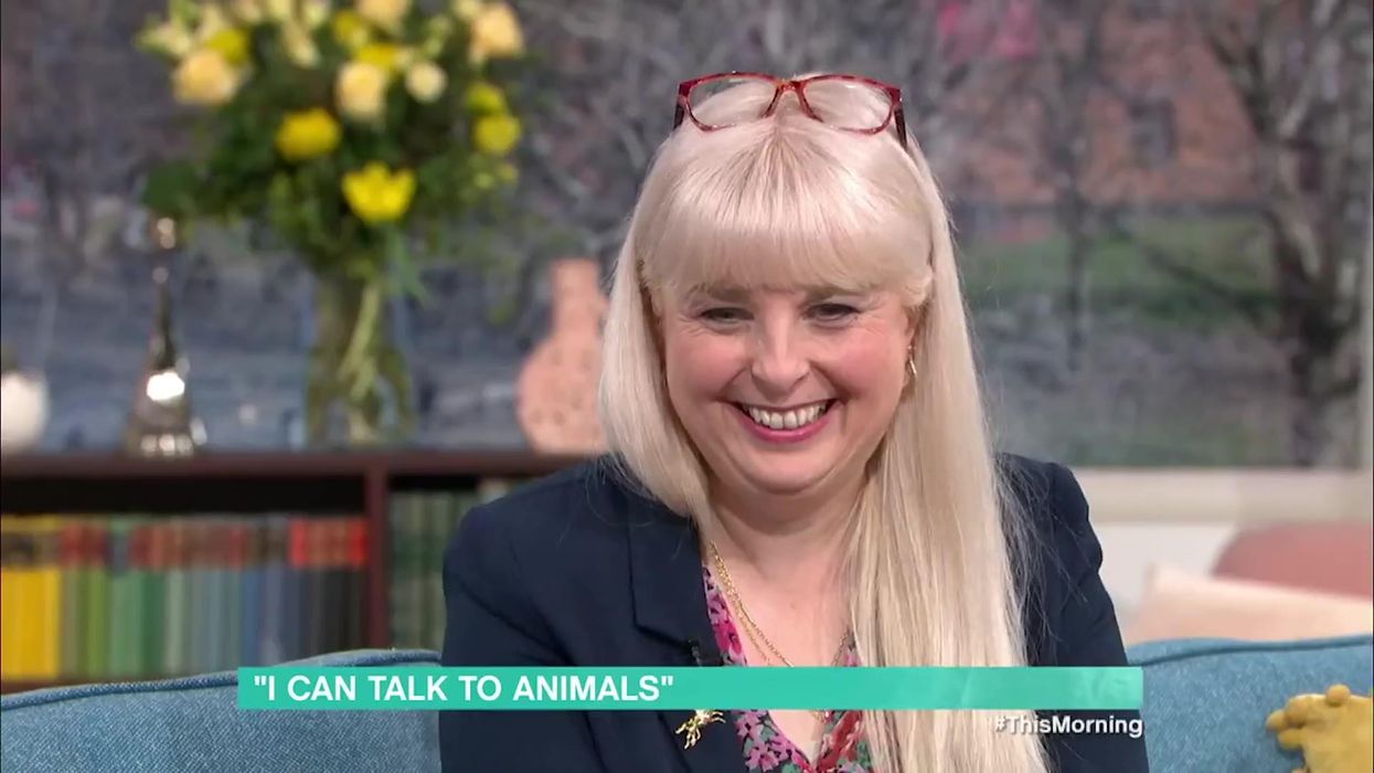 'Pet psychic' appears on This Morning as dog runs riot in studio