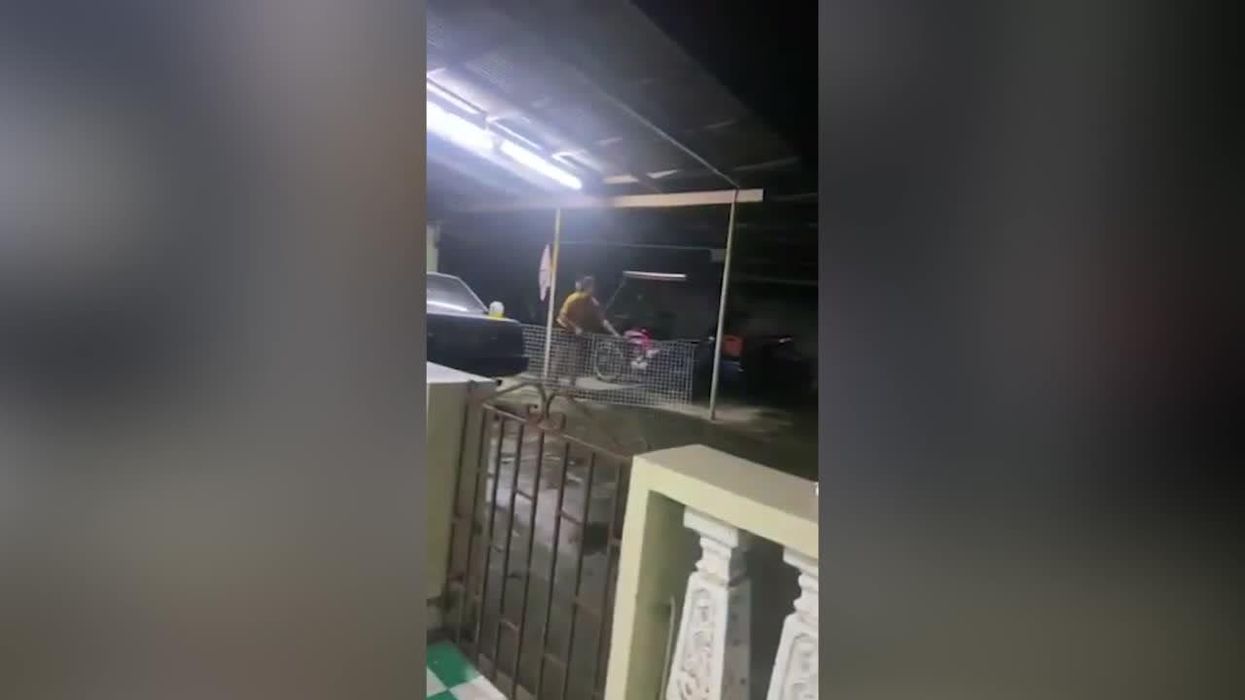 People furious at hunter who boasted of killing wolf that turned out to be a husky