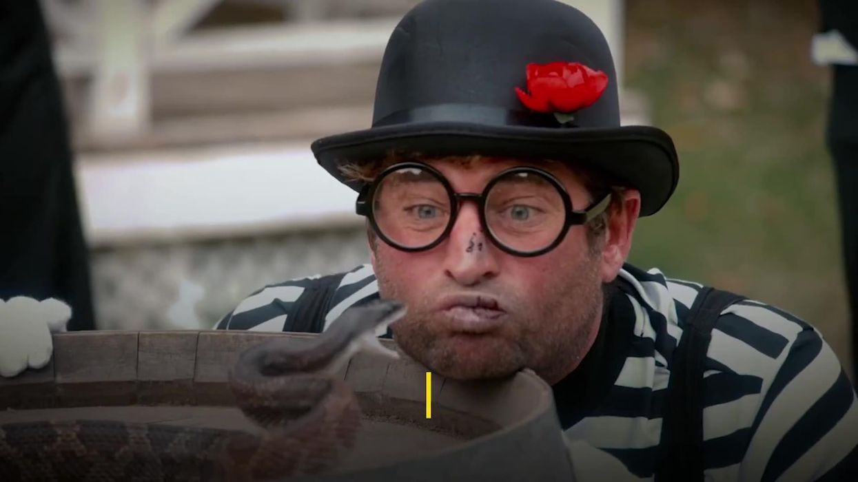 PETA urges people not to see 'Jackass Forever', alleges animal cruelty