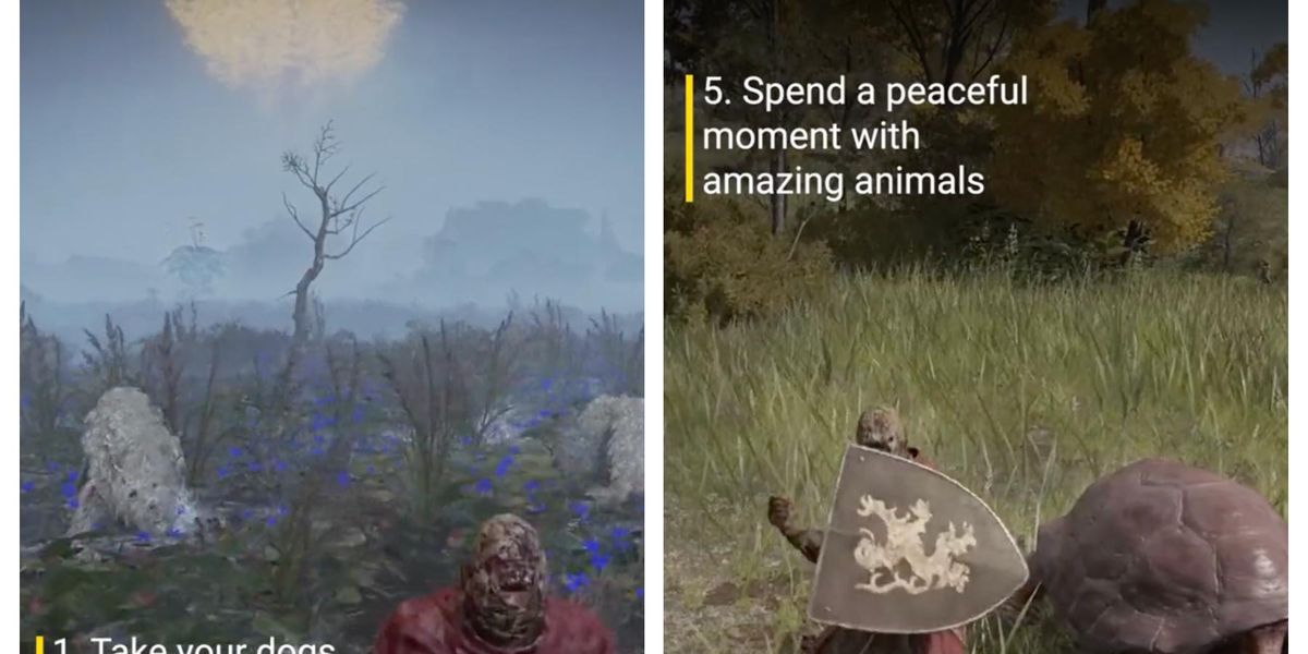 PETA released a list of animal-friendly things for people to do in Elden Ring | indy100 PETA released a list of animal-friendly things for people to do in Elden Ring | indy100
