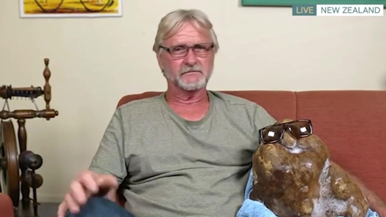 World's biggest potato is not actually a potato